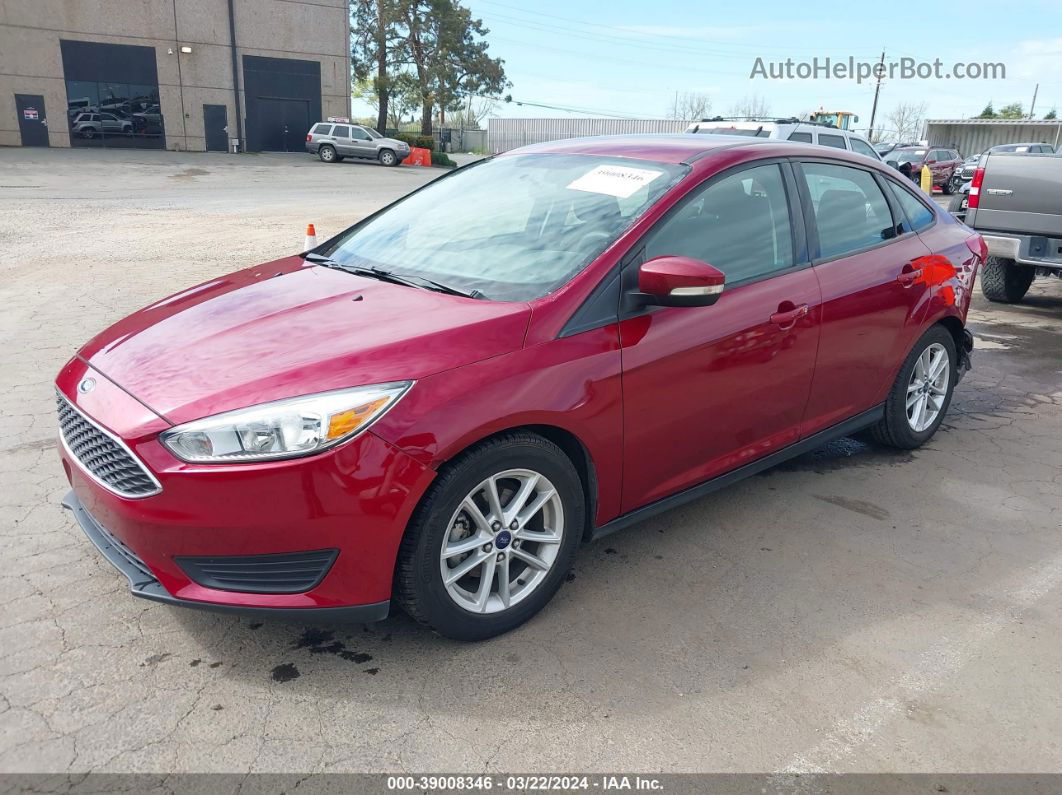 2015 Ford Focus Se Красный vin: 1FADP3F2XFL241696