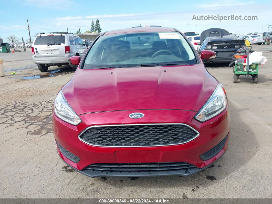 2015 Ford Focus Se Red vin: 1FADP3F2XFL241696