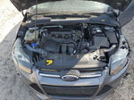 2014 Ford Focus Titanium Gray vin: 1FADP3J20EL449009