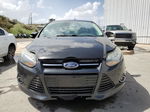 2013 Ford Focus Titanium Black vin: 1FADP3J2XDL117044