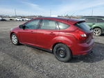 2013 Ford Focus Se Red vin: 1FADP3K20DL101255