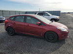 2013 Ford Focus Se Red vin: 1FADP3K20DL101255