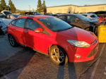 2013 Ford Focus Se Red vin: 1FADP3K20DL124745