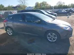 2013 Ford Focus Se Gray vin: 1FADP3K20DL333483