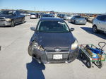 2013 Ford Focus Se Gray vin: 1FADP3K20DL379167