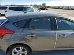 2013 Ford Focus Se Gray vin: 1FADP3K20DL379167