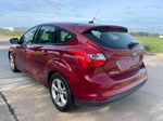 2014 Ford Focus Se Темно-бордовый vin: 1FADP3K20EL307712