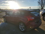 2013 Ford Focus Se Maroon vin: 1FADP3K21DL124351