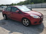 2013 Ford Focus Se Maroon vin: 1FADP3K21DL217287