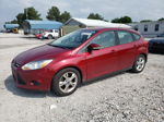 2013 Ford Focus Se Maroon vin: 1FADP3K21DL217287