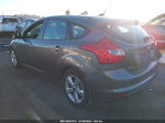 2014 Ford Focus Se Gray vin: 1FADP3K21EL211703