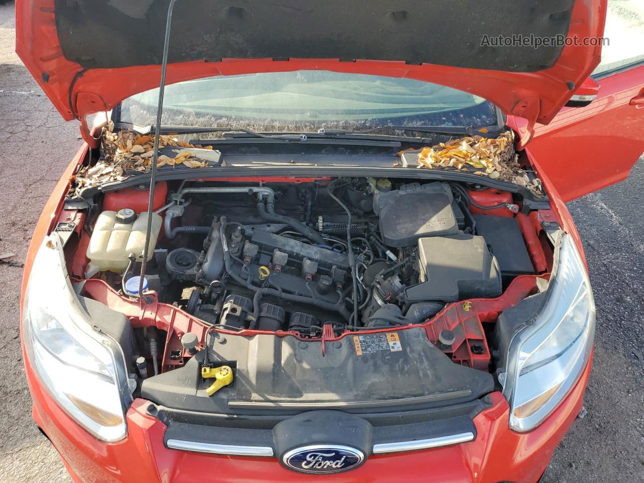 2014 Ford Focus Se Red vin: 1FADP3K21EL452189