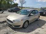 2016 Ford Focus Se Beige vin: 1FADP3K21GL203877