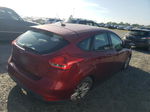 2016 Ford Focus Se Red vin: 1FADP3K21GL310606