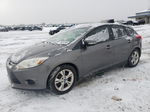 2013 Ford Focus Se Gray vin: 1FADP3K22DL112693