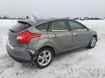 2013 Ford Focus Se Gray vin: 1FADP3K22DL112693