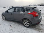 2013 Ford Focus Se Gray vin: 1FADP3K22DL112693