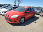 2013 Ford Focus Se Красный vin: 1FADP3K22DL206508