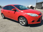 2013 Ford Focus Se Red vin: 1FADP3K22DL237645