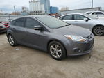 2013 Ford Focus Se Gray vin: 1FADP3K22DL260973