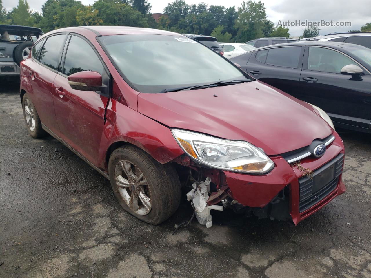 2013 Ford Focus Se Burgundy vin: 1FADP3K22DL358496