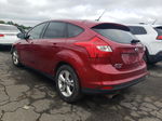 2013 Ford Focus Se Burgundy vin: 1FADP3K22DL358496