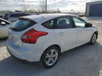 2014 Ford Focus Se Белый vin: 1FADP3K22EL362212