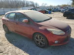 2014 Ford Focus Se Бордовый vin: 1FADP3K22EL414910