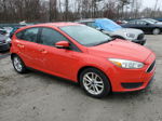 2015 Ford Focus Se Red vin: 1FADP3K22FL226566