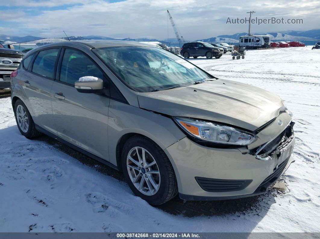 2016 Ford Focus Se Золотой vin: 1FADP3K22GL263506