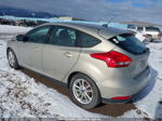 2016 Ford Focus Se Золотой vin: 1FADP3K22GL263506