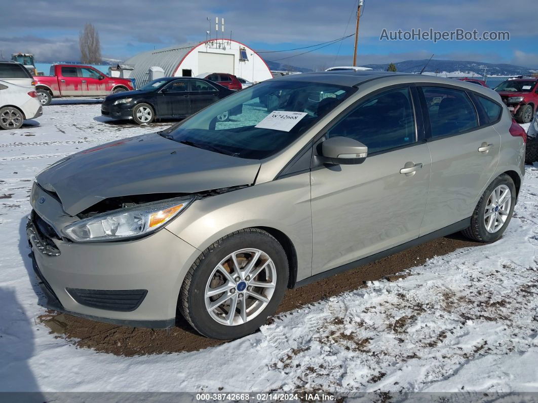 2016 Ford Focus Se Золотой vin: 1FADP3K22GL263506