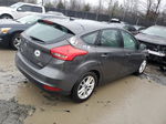 2016 Ford Focus Se Gray vin: 1FADP3K22GL294593