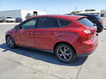 2013 Ford Focus Se Красный vin: 1FADP3K23DL271559