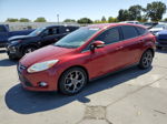 2013 Ford Focus Se Red vin: 1FADP3K23DL271559