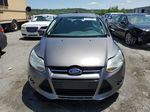 2014 Ford Focus Se Gray vin: 1FADP3K23EL182589