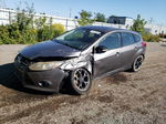 2014 Ford Focus Se Gray vin: 1FADP3K23EL289495