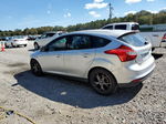 2013 Ford Focus Se Silver vin: 1FADP3K24DL368818