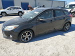 2013 Ford Focus Se Black vin: 1FADP3K24DL375087