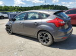 2014 Ford Focus Se Gray vin: 1FADP3K24EL102412