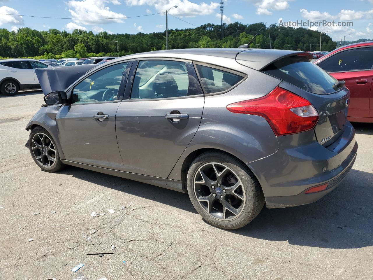 2014 Ford Focus Se Gray vin: 1FADP3K24EL102412