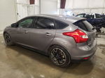 2014 Ford Focus Se Gray vin: 1FADP3K24EL208021