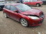 2014 Ford Focus Se Maroon vin: 1FADP3K24EL374233