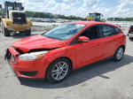 2015 Ford Focus Se Red vin: 1FADP3K24FL262422