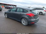 2016 Ford Focus Se Gray vin: 1FADP3K24GL216591