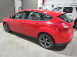 2013 Ford Focus Se Red vin: 1FADP3K25DL190823