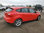 2013 Ford Focus Se Red vin: 1FADP3K25DL260319