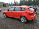 2013 Ford Focus Se Красный vin: 1FADP3K25DL355432