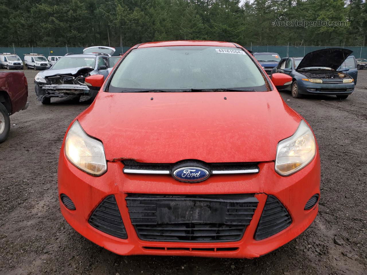 2013 Ford Focus Se Красный vin: 1FADP3K25DL355432