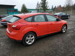 2013 Ford Focus Se Красный vin: 1FADP3K25DL355432